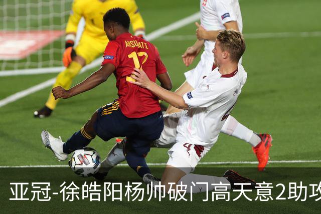 亚冠-徐皓阳杨帅破门高天意2助攻 申花2-1淡滨尼流浪者